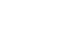 Shopify Premier Partner